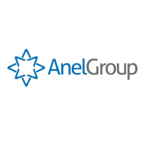 Anel Group