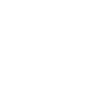 GAUDI