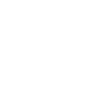 Vince Camuto